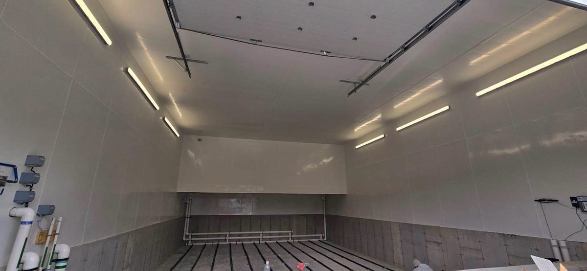 A large hall lit by suspended linear LED fixtures on a clean, straight run.
